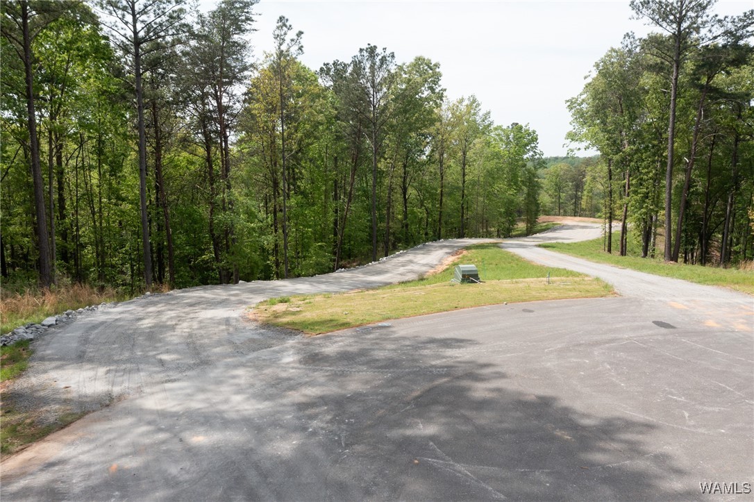 14201 Cliff Drive, North Port, Alabama image 22