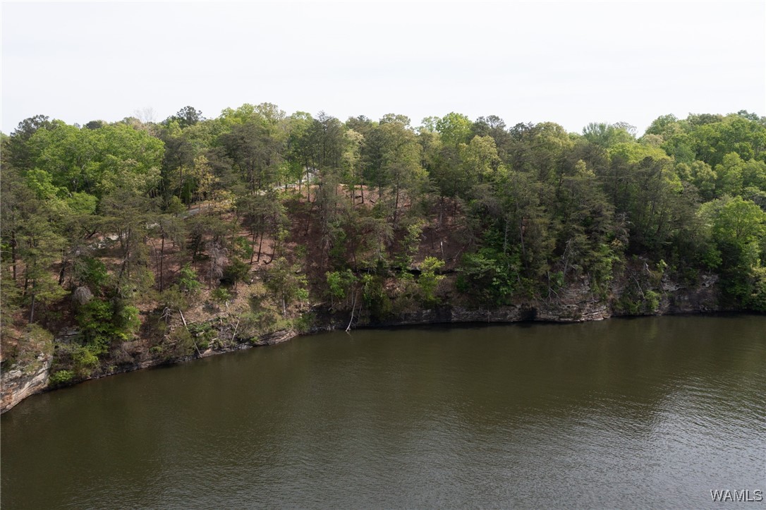 14201 Cliff Drive, North Port, Alabama image 17
