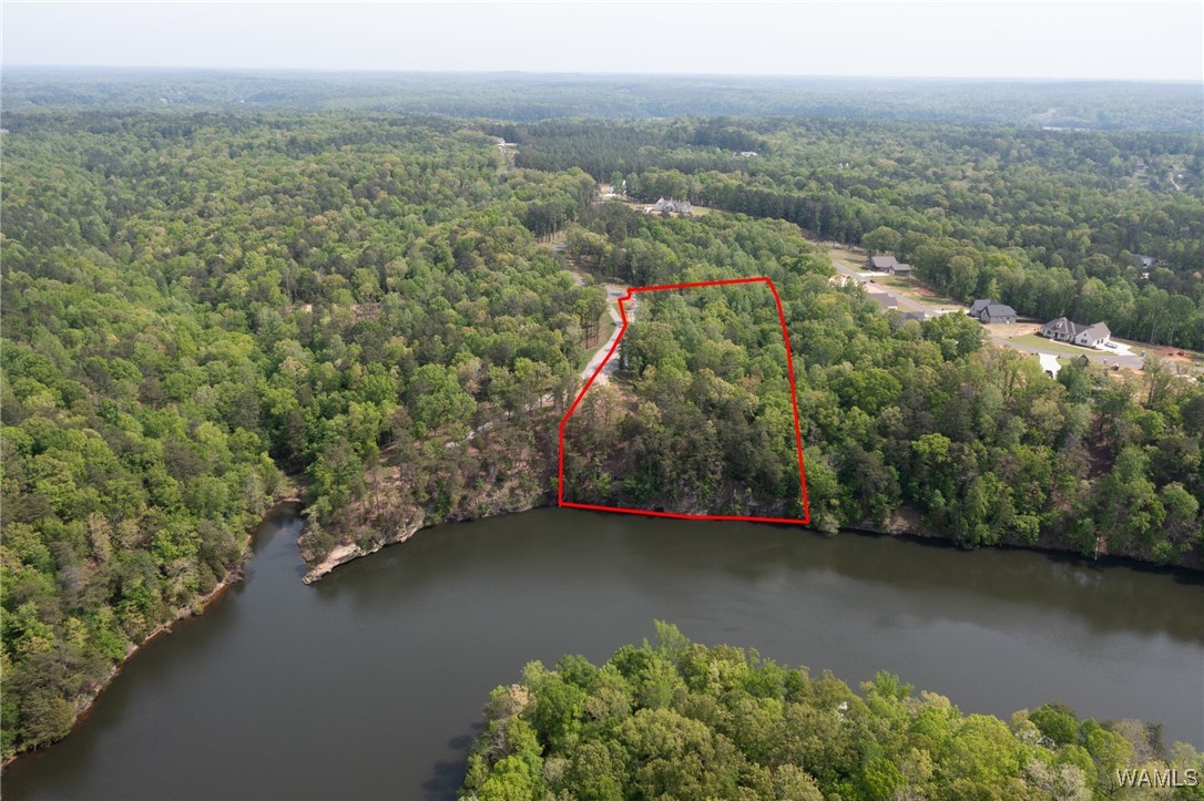 14201 Cliff Drive, North Port, Alabama image 9