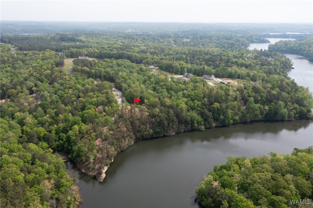 14201 Cliff Drive, North Port, Alabama image 11