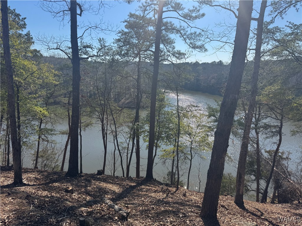 14201 Cliff Drive, North Port, Alabama image 7