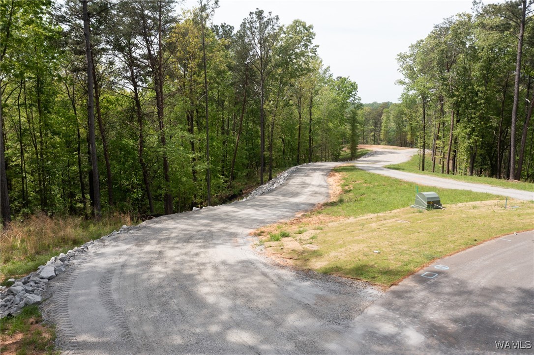 14201 Cliff Drive, North Port, Alabama image 23