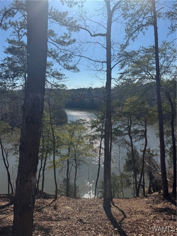 14201 Cliff Drive, North Port, Alabama image 8