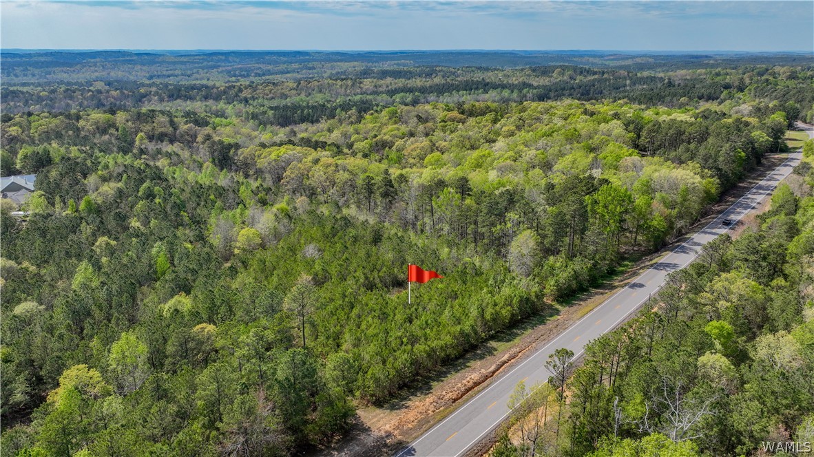 Highway 171, North Port, Alabama image 4