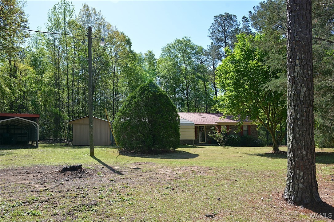 16310 Mink Slide Road, Moundville, Alabama image 3