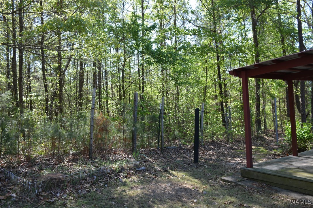 16310 Mink Slide Road, Moundville, Alabama image 12