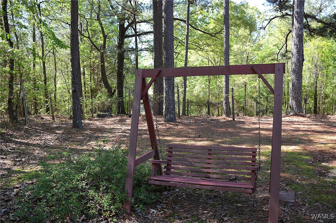 16310 Mink Slide Road, Moundville, Alabama image 18