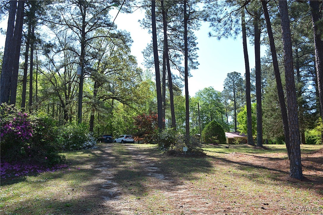 16310 Mink Slide Road, Moundville, Alabama image 7