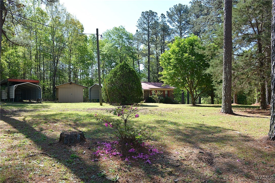 16310 Mink Slide Road, Moundville, Alabama image 9