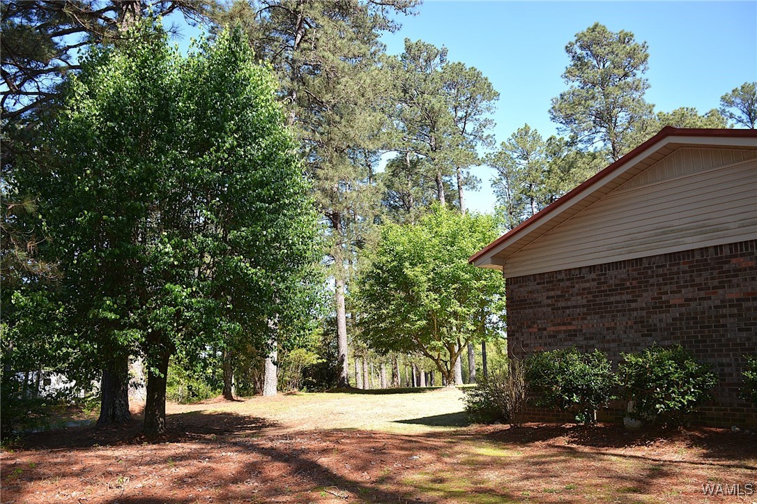 16310 Mink Slide Road, Moundville, Alabama image 15