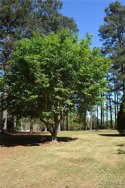 16310 Mink Slide Road, Moundville, Alabama image 14