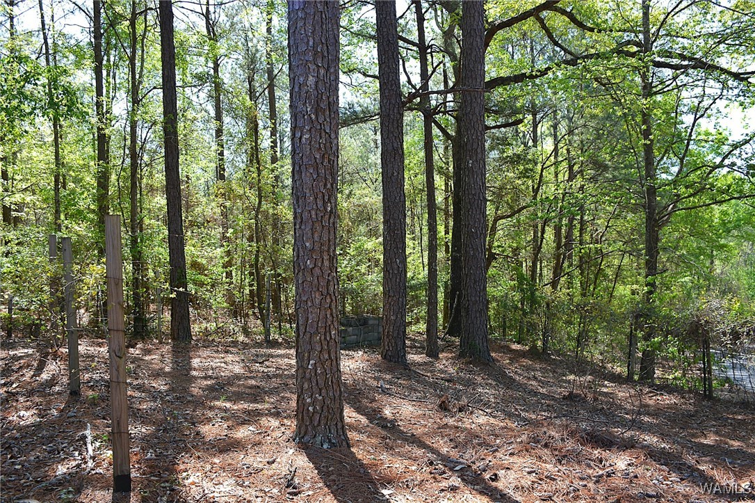 16310 Mink Slide Road, Moundville, Alabama image 19