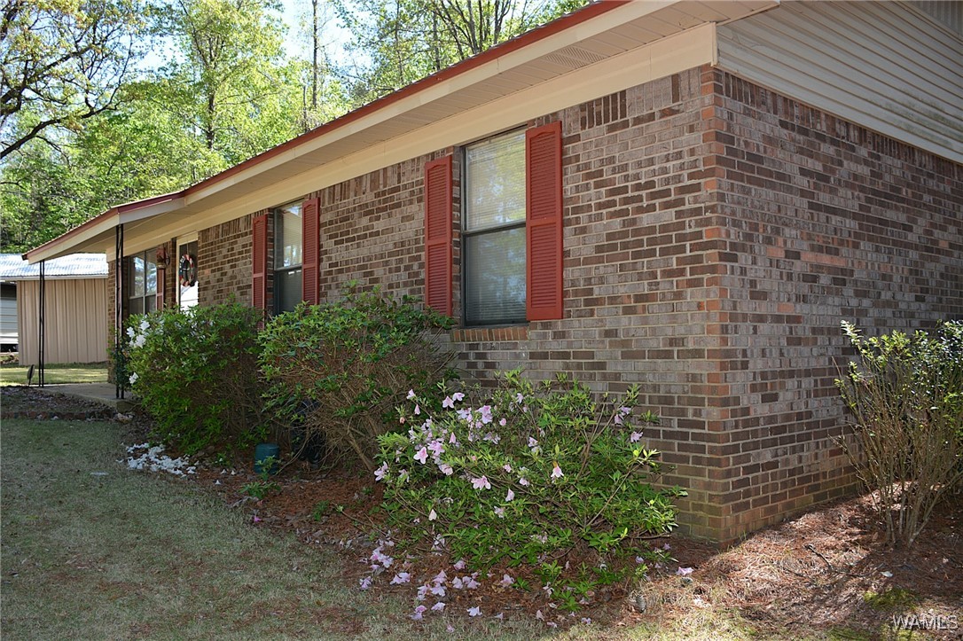 16310 Mink Slide Road, Moundville, Alabama image 11