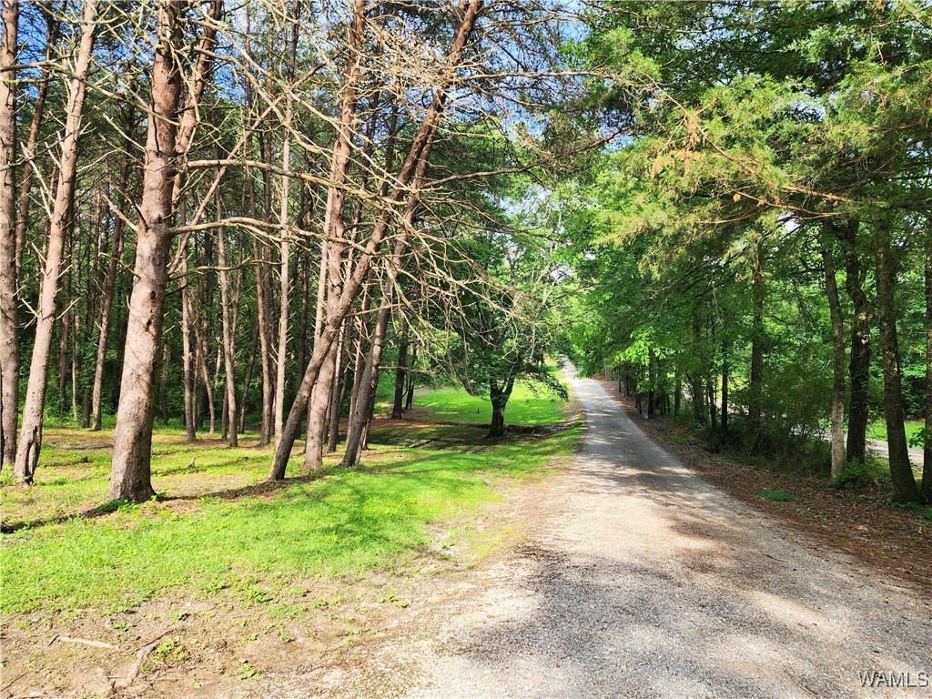 14541 Keenes Mill Road, Coaling, Alabama image 42