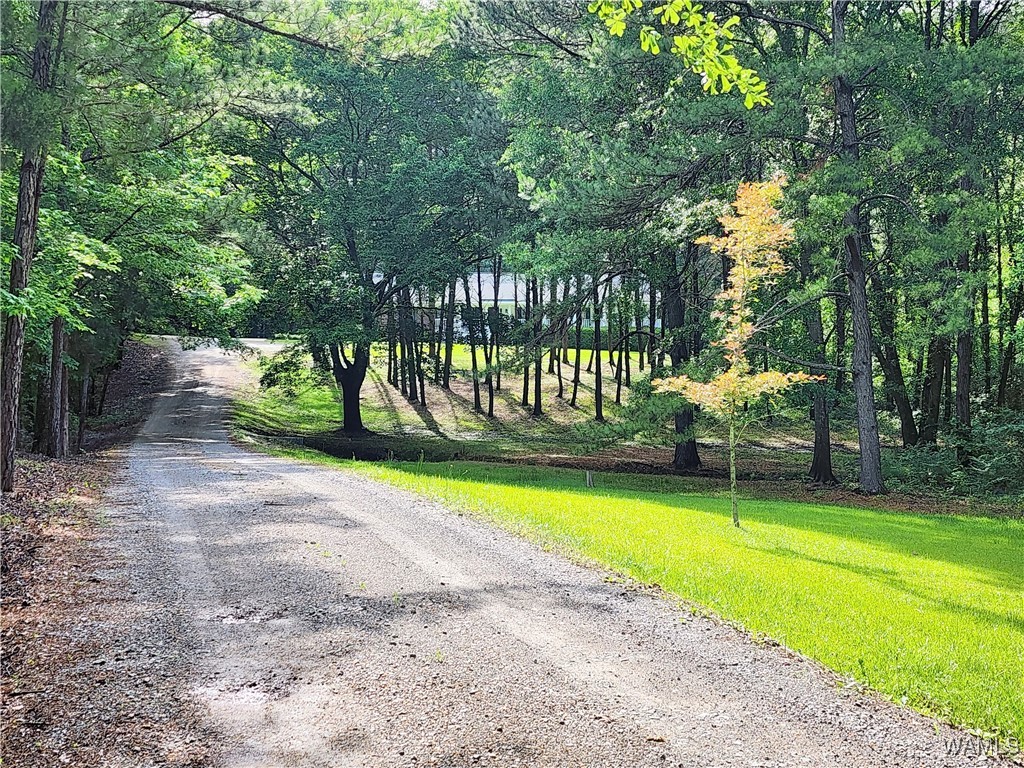 14541 Keenes Mill Road, Coaling, Alabama image 1