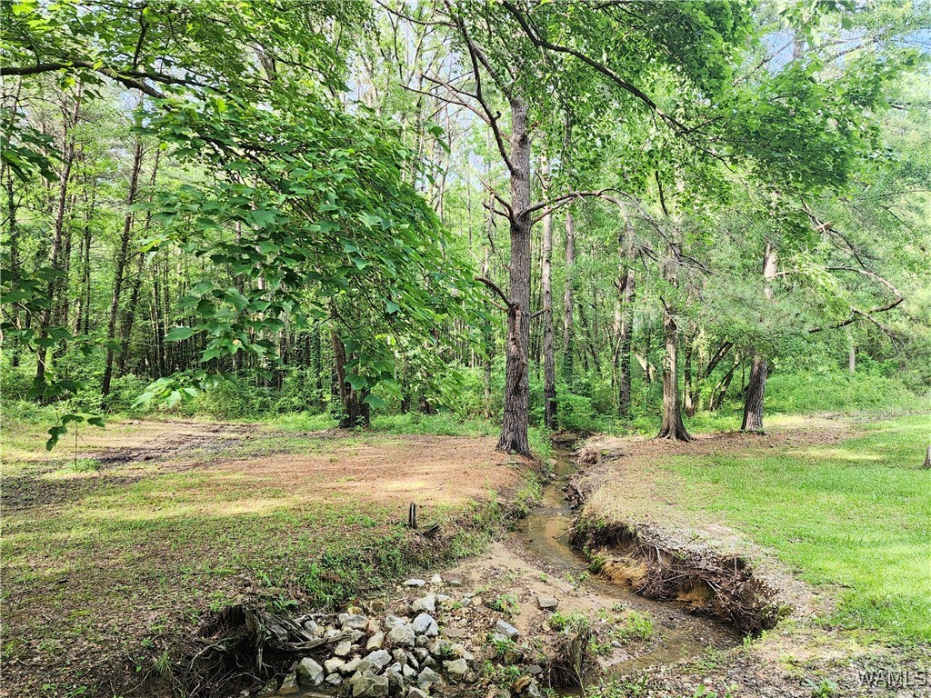 14541 Keenes Mill Road, Coaling, Alabama image 43