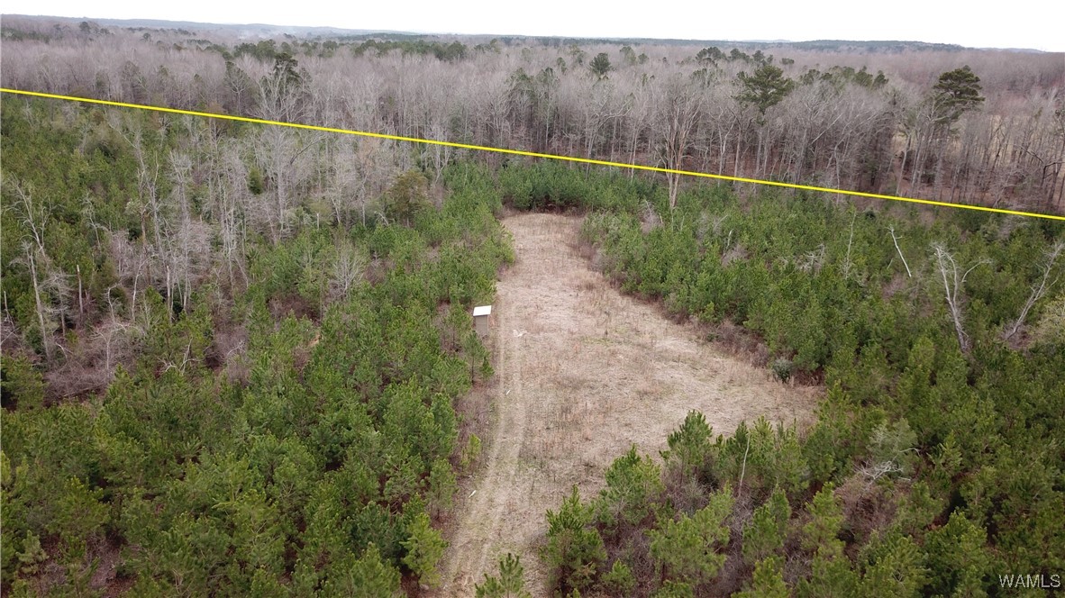 Dave Wells Cutoff Road, Gordo, Alabama image 4