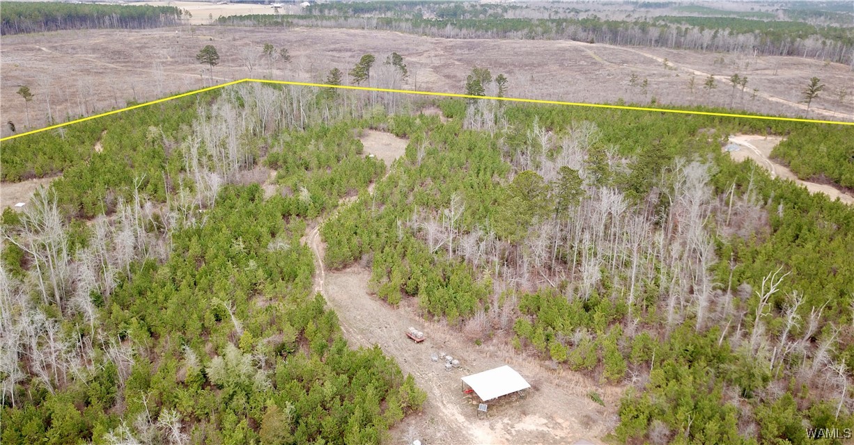 Dave Wells Cutoff Road, Gordo, Alabama image 1