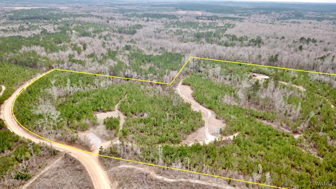 Dave Wells Cutoff Road, Gordo, Alabama image 10