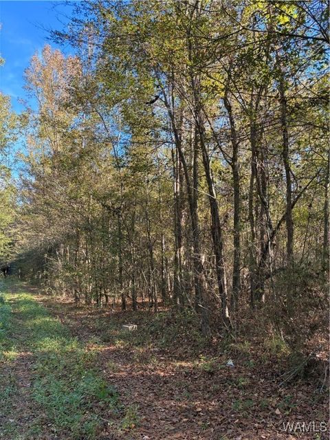 14301 Dry Creek Rd Fosters AL 35463