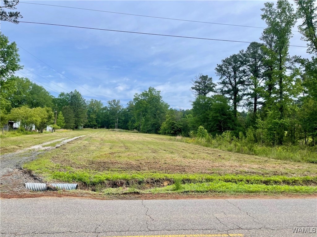 000 Haygood Chapel Road, Berry, Alabama image 5