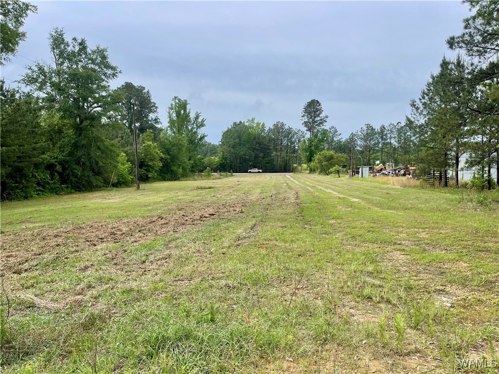 000 Haygood Chapel Road, Berry, Alabama image 1