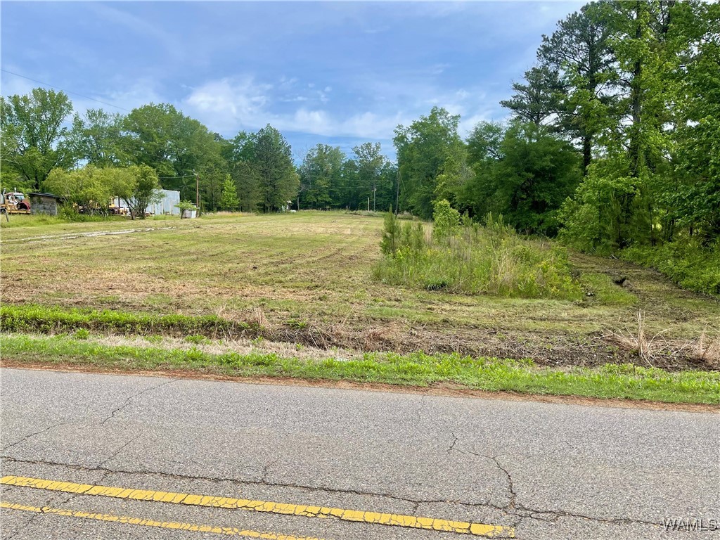 000 Haygood Chapel Road, Berry, Alabama image 3