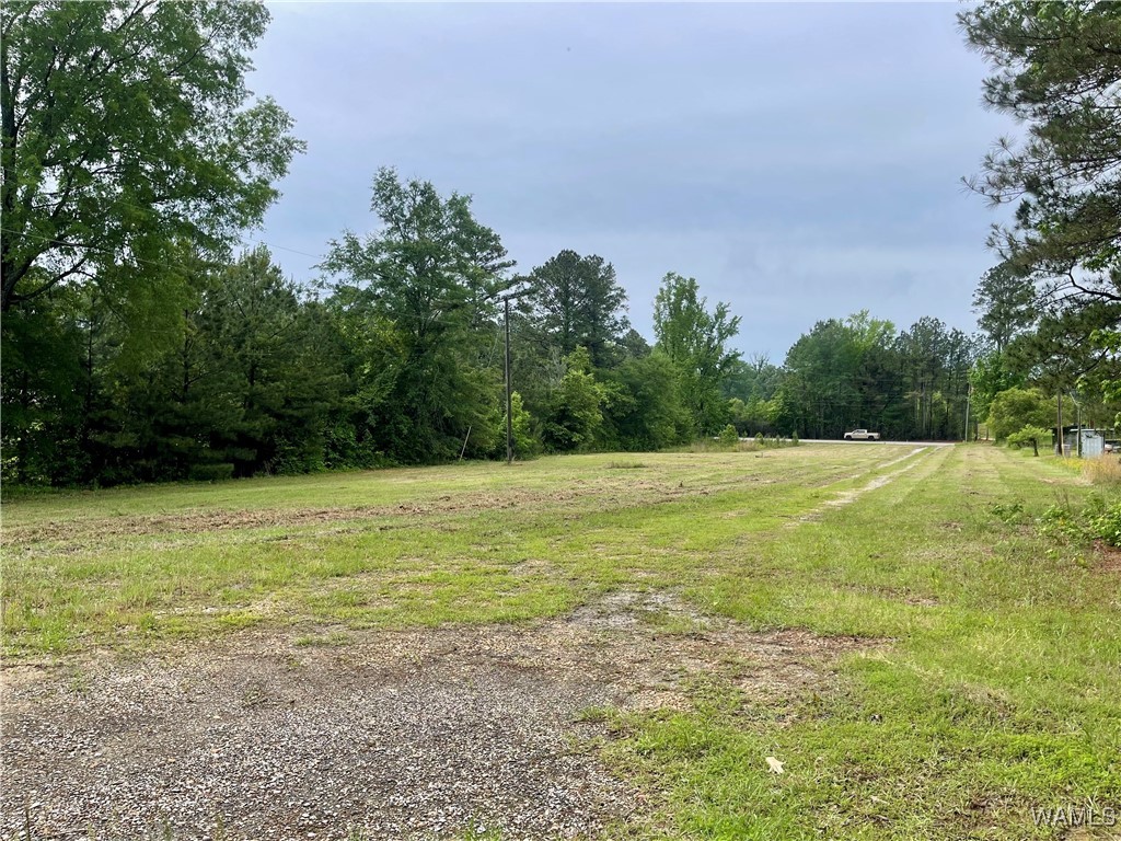 000 Haygood Chapel Road, Berry, Alabama image 4