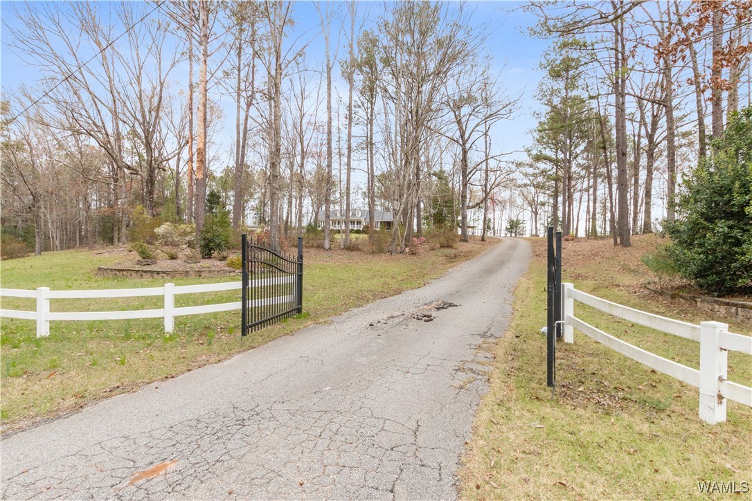 14714 Shiloh Road, Ralph, Alabama image 2
