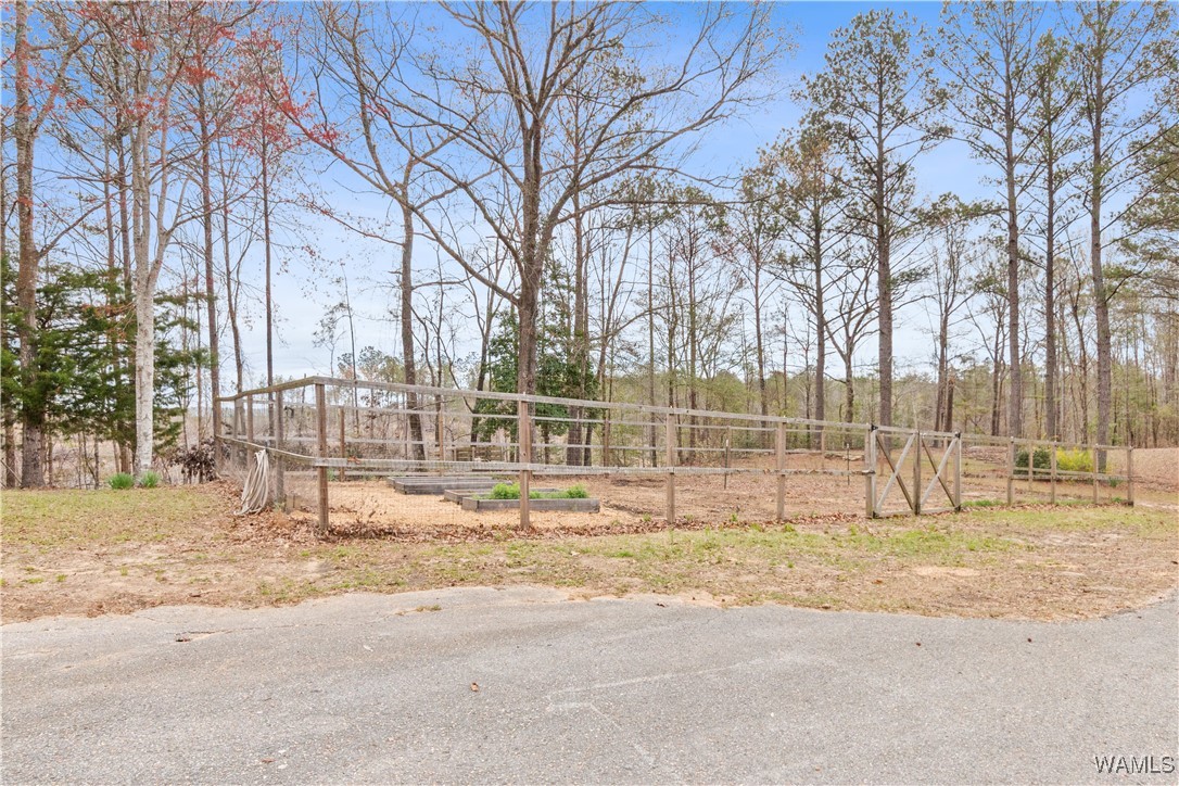 14714 Shiloh Road, Ralph, Alabama image 8