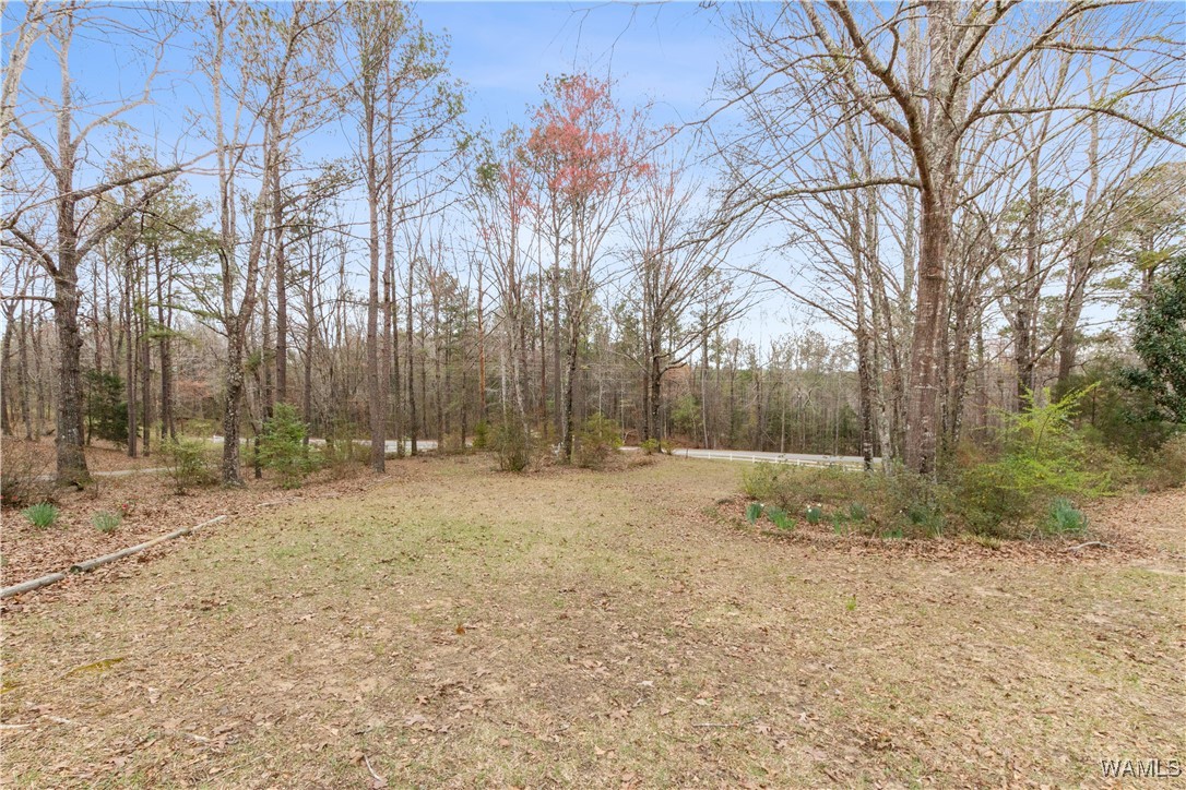 14714 Shiloh Road, Ralph, Alabama image 10