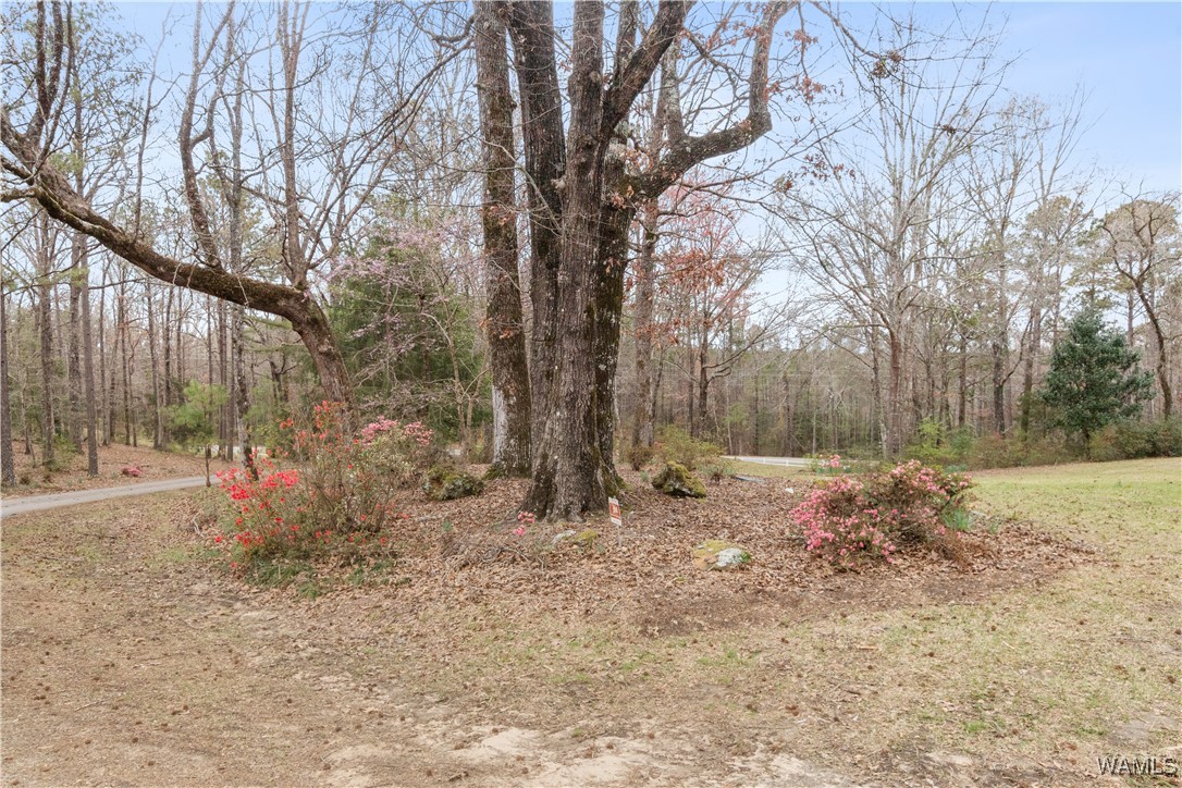 14714 Shiloh Road, Ralph, Alabama image 9