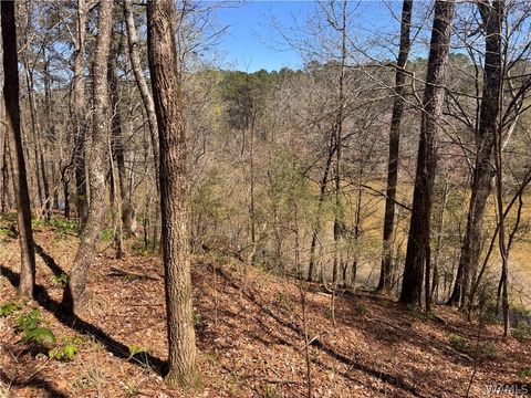 Vacant Land For Sale - 00 Bayside Drive<br/> North Port, AL 35475