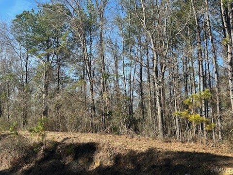 Vacant Land For Sale - 10.03 AC Hwy 82 W/hwy 86<br/> Gordo, AL 35466