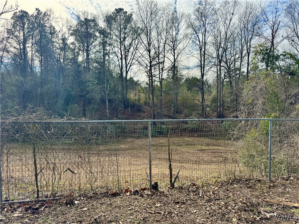 10647 Chance Drive, Coaling, Alabama image 40