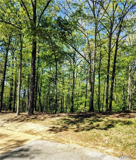 0 Clements Foley Rd Northport AL 35476