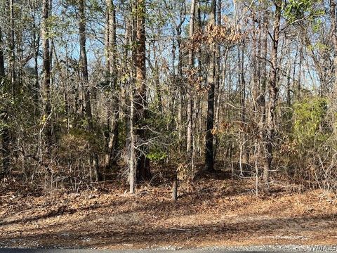 Vacant Land For Sale - 00 Ashborough Drive<br/> Cottondale, AL 35453