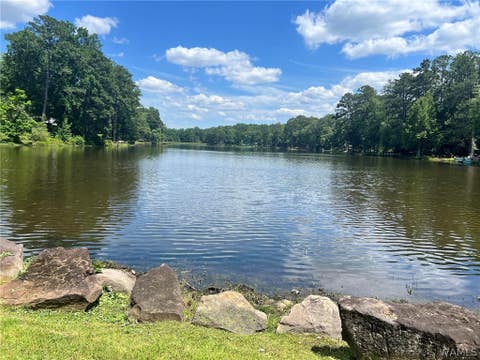 Vacant Land For Sale - 00 Ashborough Drive<br/> Cottondale, AL 35453