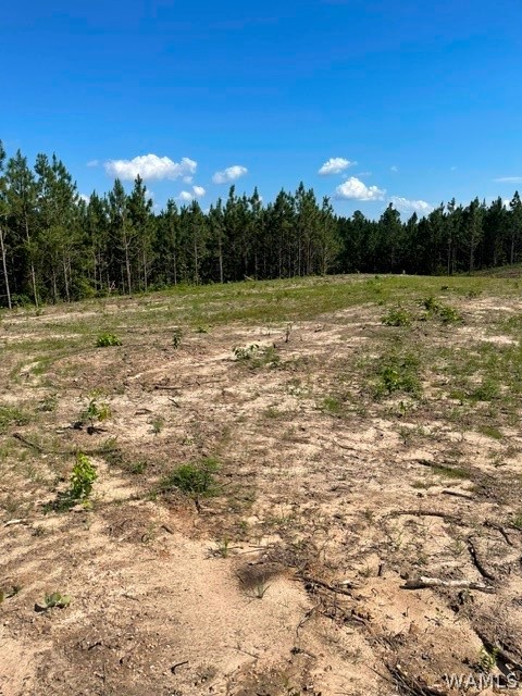 Lot 3 Longleaf