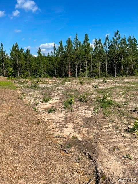 Lot 3 Longleaf