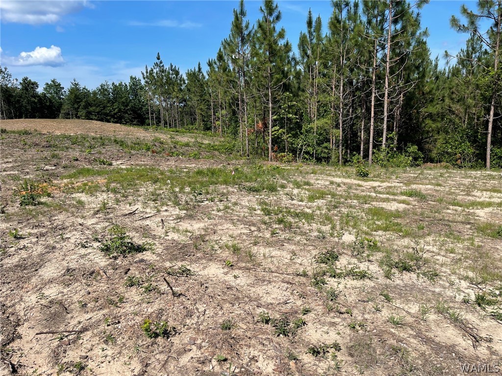 Lot 3 Longleaf