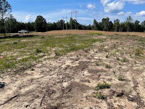 Vacant Land For Sale - LOT 3 Longleaf<br/> Tuscaloosa County, Tuscaloosa, AL 35406