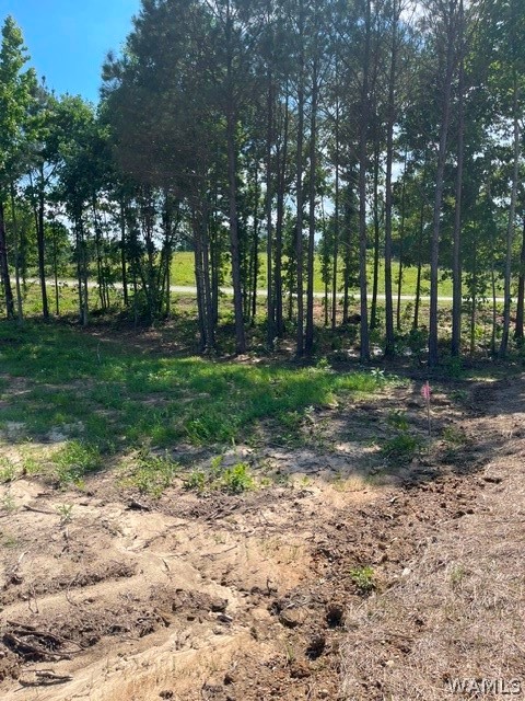 Lot 3 Longleaf