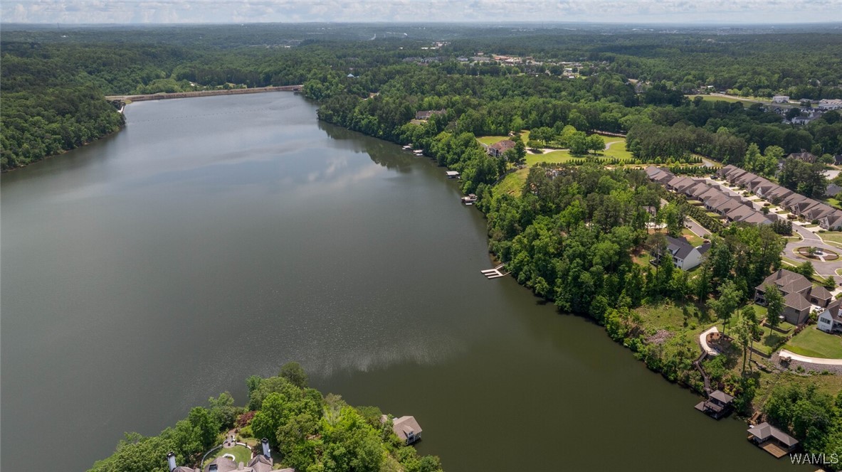 1708 Sunrise Pointe Way, Tuscaloosa, Alabama image 14