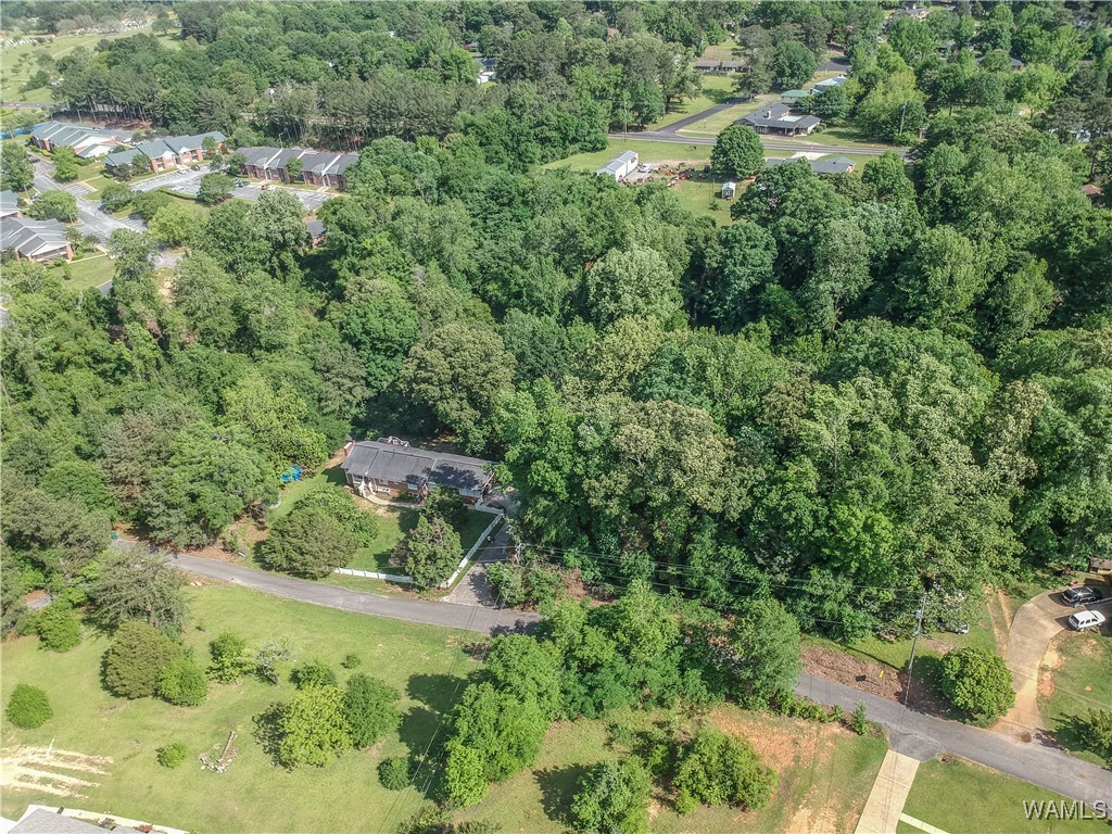 4741 Bay Street, Tuscaloosa, Alabama image 5