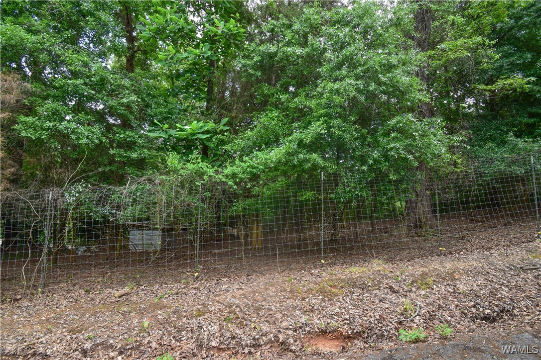 4741 Bay Street, Tuscaloosa, Alabama image 10