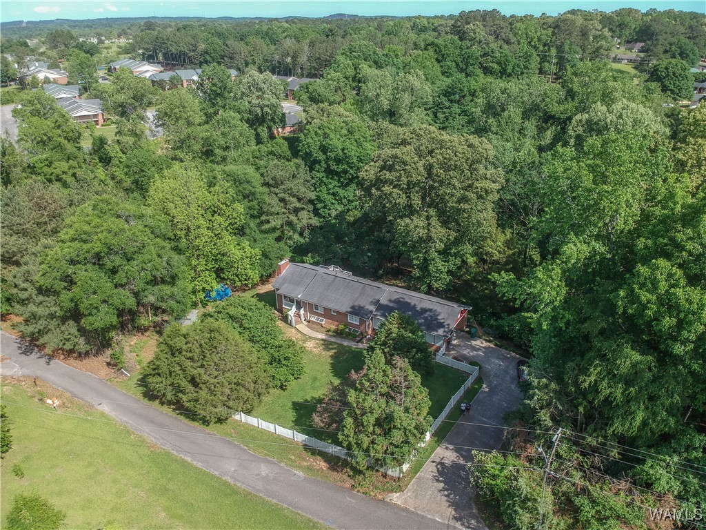 4741 Bay Street, Tuscaloosa, Alabama image 4