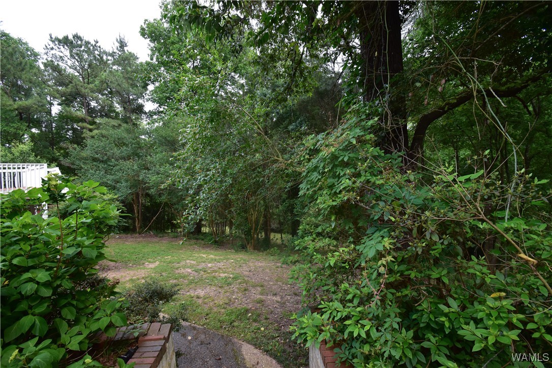 4741 Bay Street, Tuscaloosa, Alabama image 14