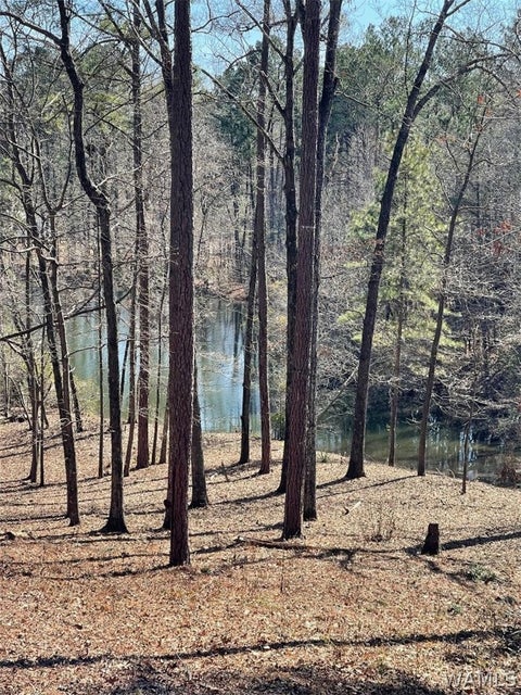 Vacant Land For Sale - 0000 Hidden Valley Cove<br/> Tuscaloosa County, Tuscaloosa, AL 35405
