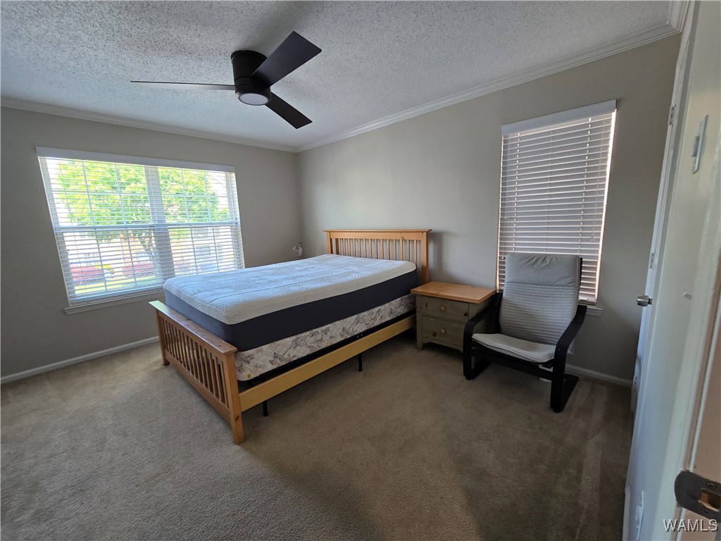 120 15th Street #113, Tuscaloosa, Alabama image 5
